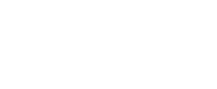 F1 - Le Film
