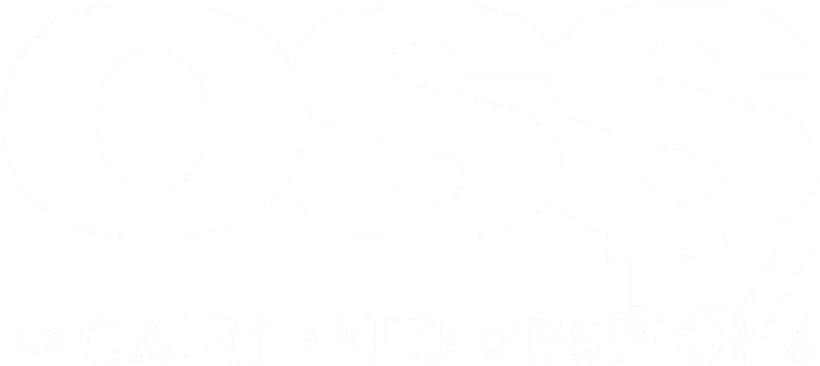 OSS 117 : Le Caire, nid d'espions