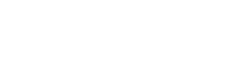 The Fix