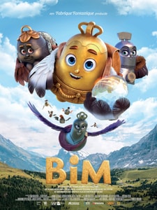 BIM