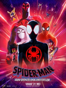 Spider-Man : Een Grenzeloos Universum