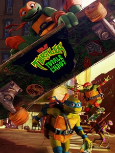 Ninja Turtles : Teenage Years