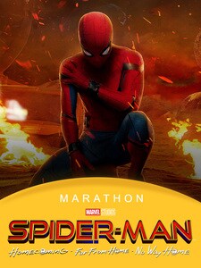 Film Marathon : Spider-Man 1-3