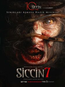 Siccin 7