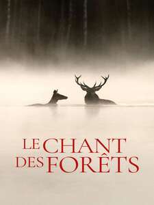 Le chant des forêts