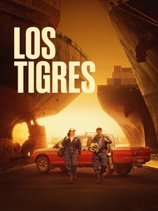 Los Tigres
