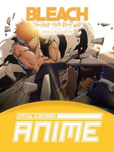Bleach: Thousand-Year Blood War - The Calamity