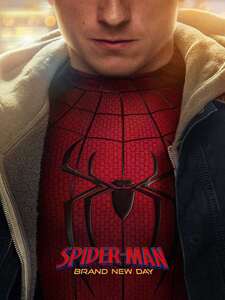 Spider-Man : Brand New Day