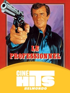 Le professionnel
