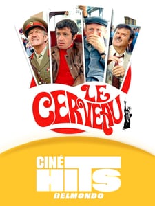 Le cerveau
