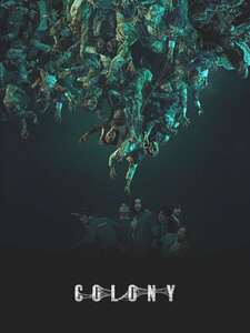 Colony