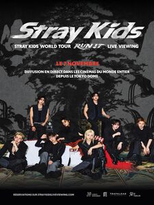 Stray Kids World Tour <RUN IT> LIVE VIEWING