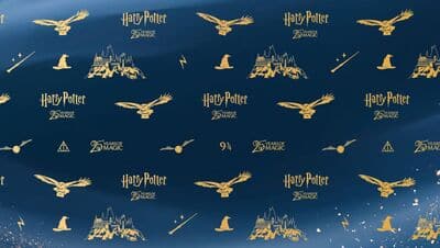 Backdrop film master template