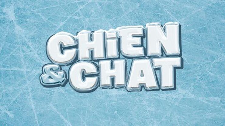 Chien & Chat