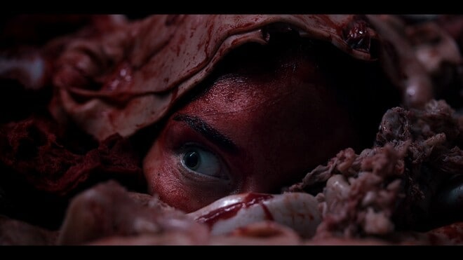 Abattoir