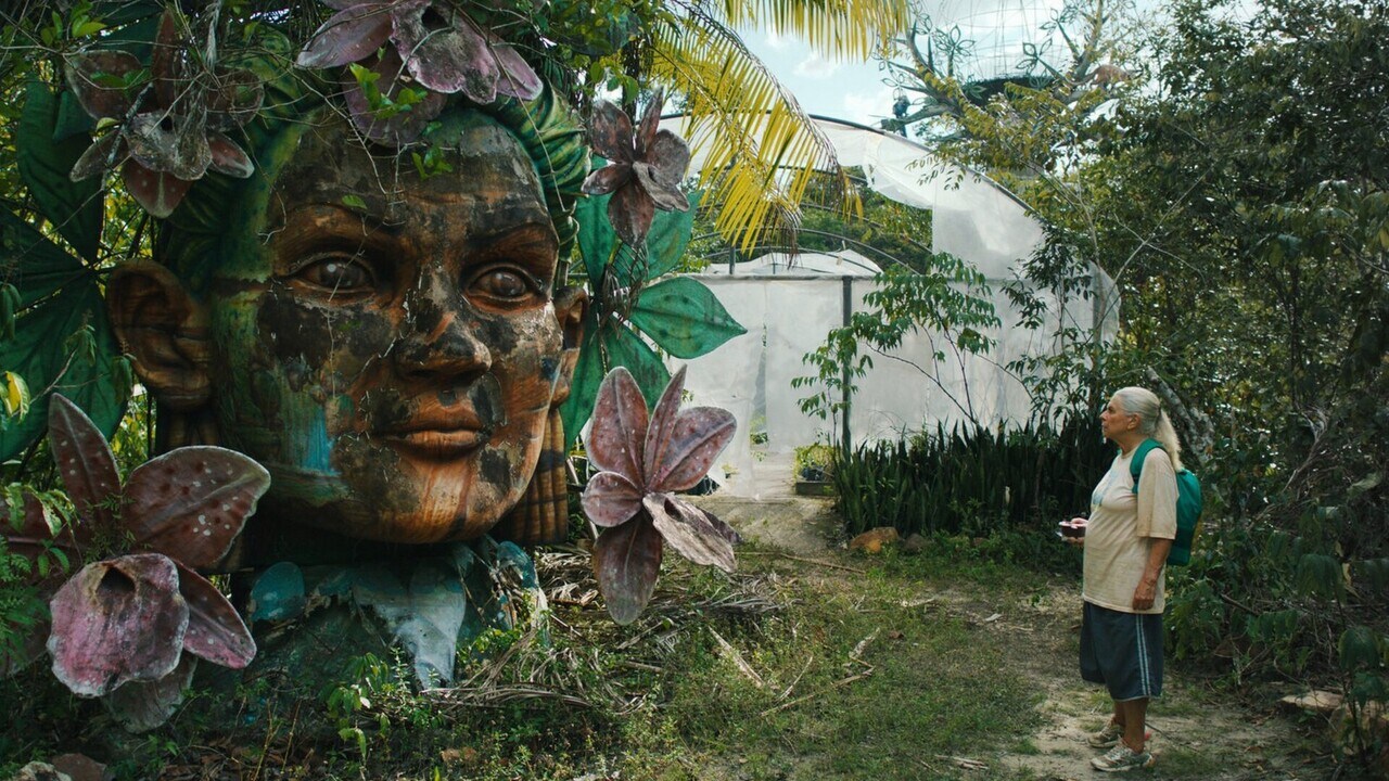 Backdrop film master template