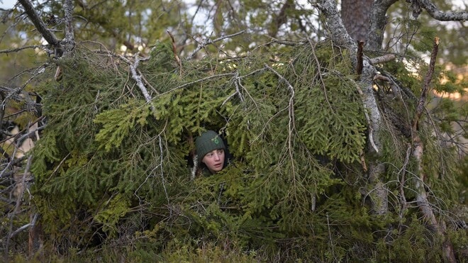 Le chant des forêts