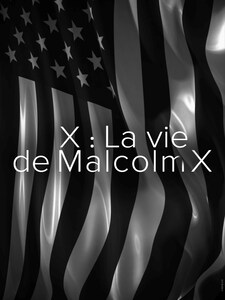 X : La vie de Malcolm X